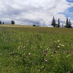 Przy Lesie Alloggio per agriturismo