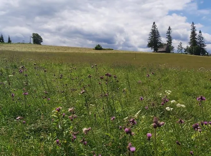 Przy Lesie Vakantieboerderij
